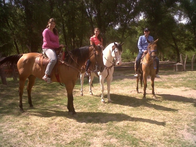  Balades à cheval entre amis 